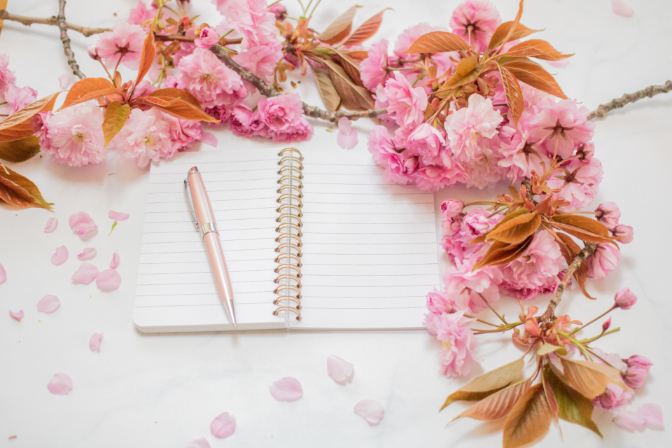 An open notebook of handwritten plans and sketches on a wooden desk